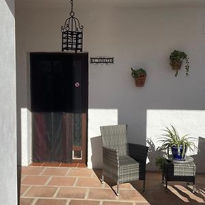 Estudio Superior
